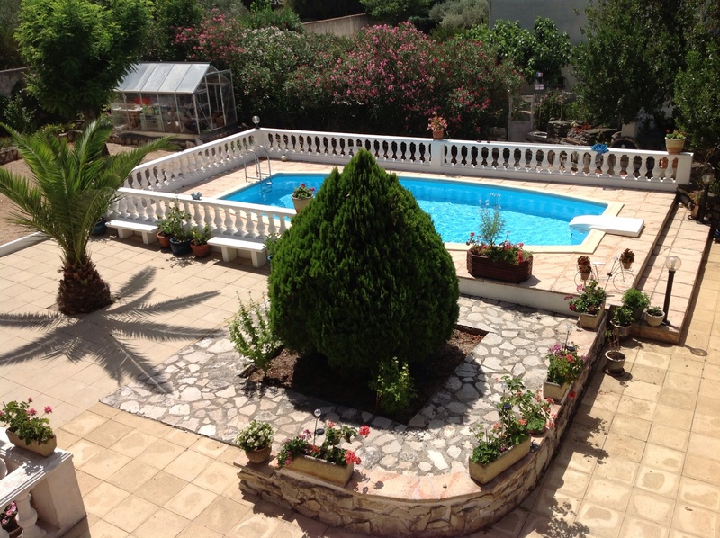 front or back yard, tropical, no people, outdoors, beside, built structure, green color, sunlight, high angle view, architecture, potted plant, exterior