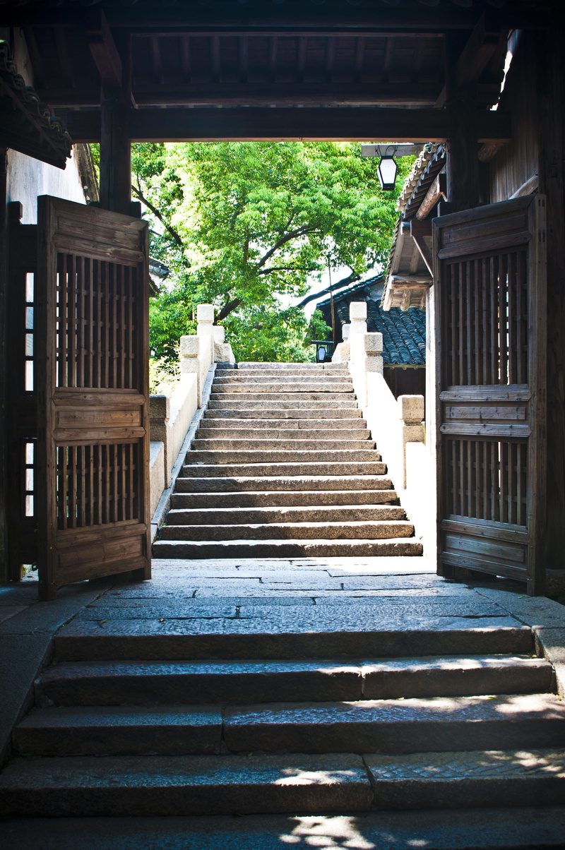 green black, line, tile, huizhou architecture, steps, nature, wooden, green, ishibashi, the ming and qing dynasties, low angle view, Wuzhen, no people