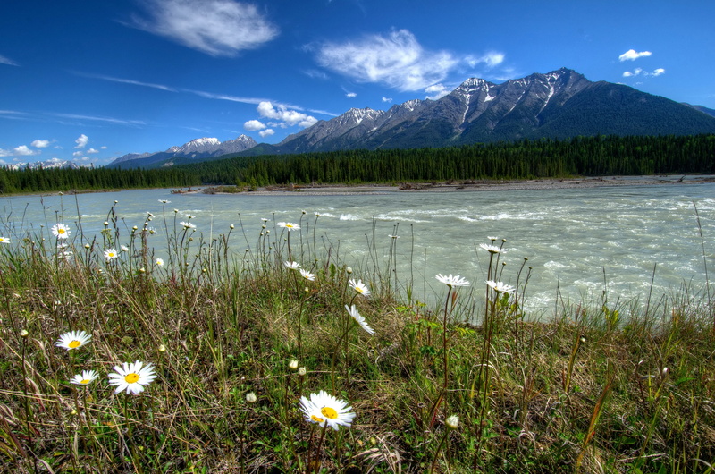 lake, cloud - Sky, teton, extreme Terrain, sky, no People, travel, beauty In Nature, green Color, parks, reflection, river, land, blue, scenics - nature