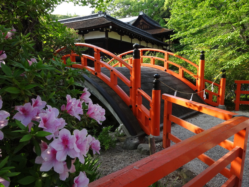 formal Garden, architecture, plant, red, shrine, Shimogamo Shrine, growth, Flowers, day, flower, belief, japanese Culture, flowering plant, nature, place of worship