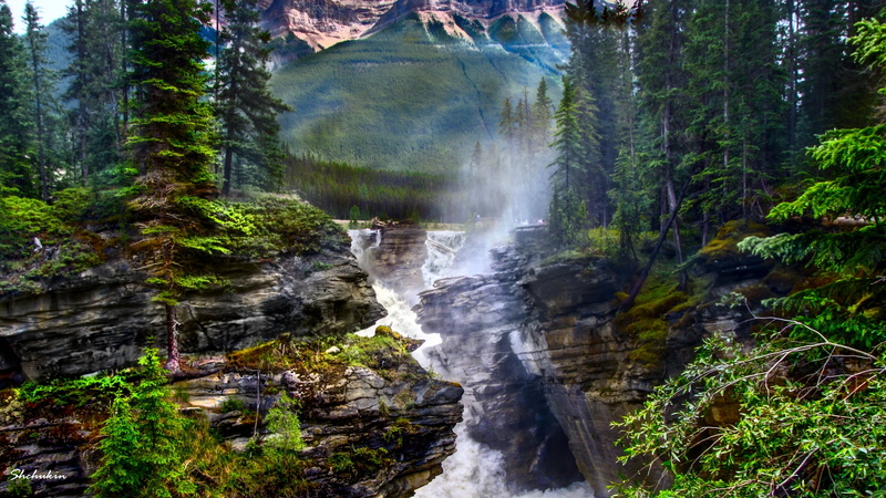lapse, photography, nature, water, scenics, Athabasca falls, water falls, rock - Object, falls, tress, time lapse photography, stream, time, Canada, waterfall