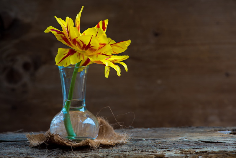 indoors, individually, open flower, transparent, bloom, container, wood - Material, blossom, yellow, flower, table, still life, close-up, rustic, deco