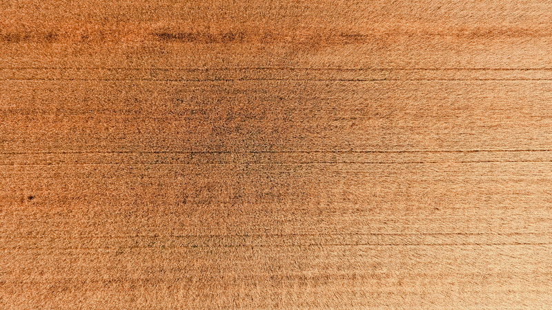 textured effect, wood - material, tree, wheat field, indoors, full frame, down, nature, colored background, brown, backgrounds, tractor trail, hardwood
