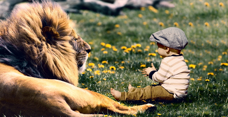 kid, happy, one person, mammal, day, grass, domestic, one animal, leisure activity, sitting, pets, play, son, real people, cute, innocence, domestic animals