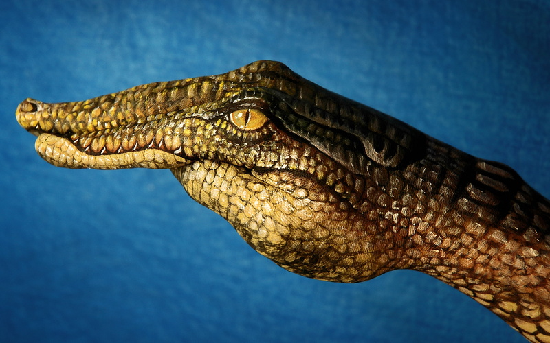digital art, hands, 2K, Guido Daniel, crocodiles, simple background