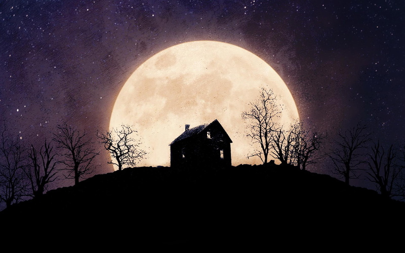 parks, michael, justin, rodriguez, 2014, 1080P, tusk, justin long, genesis rodriguez, michael parks, genesis, long