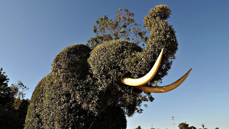 low angle view, close-up, sunlight, bushes, clear sky, animal themes, blue, art, elephant, summer, tranquility, animal body part, beauty in nature, no People