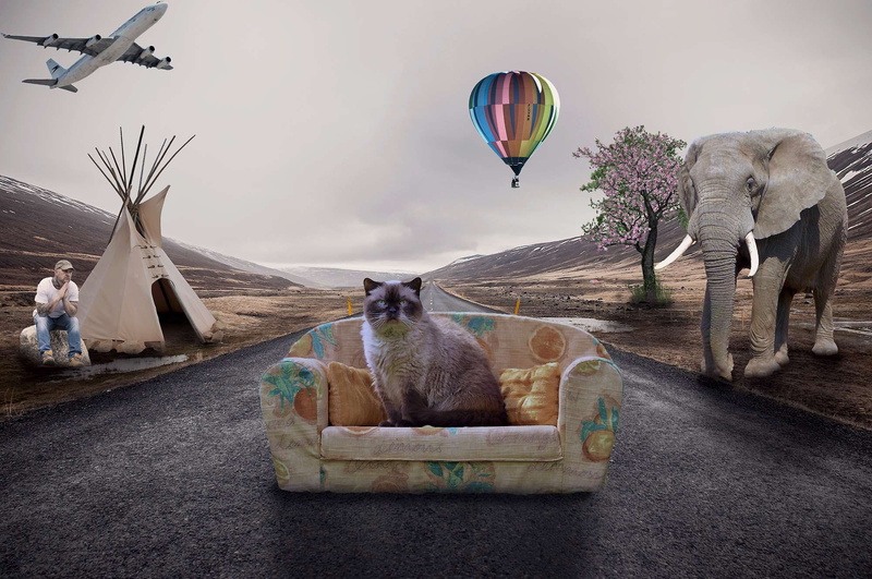representation, digital composite, elefant, couch, nature, no people, 1080P, transportation, plane, elephant, architecture, adobe photoshop, objects, street