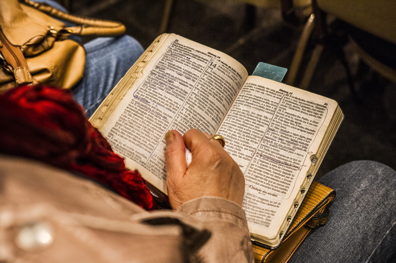sitting, education, reading, prayer, christian, sheet, human hand, indoors, religion, holding, religious, adult, read, knowledge, casual clothing, pages
