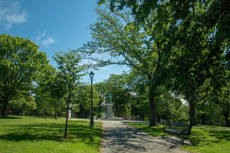 history, tranquility, grass, nature, statute, plant, saint john, green color, direction, footpath, sunlight, sky, 5K, city, street, park - man made space