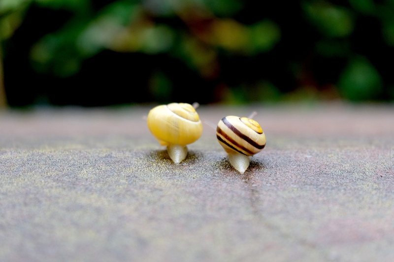 animal themes, animal wildlife, land, animal, food and drink, invertebrate, harmonious, animals in the wild, one animal, yellow, mucus, together, garden