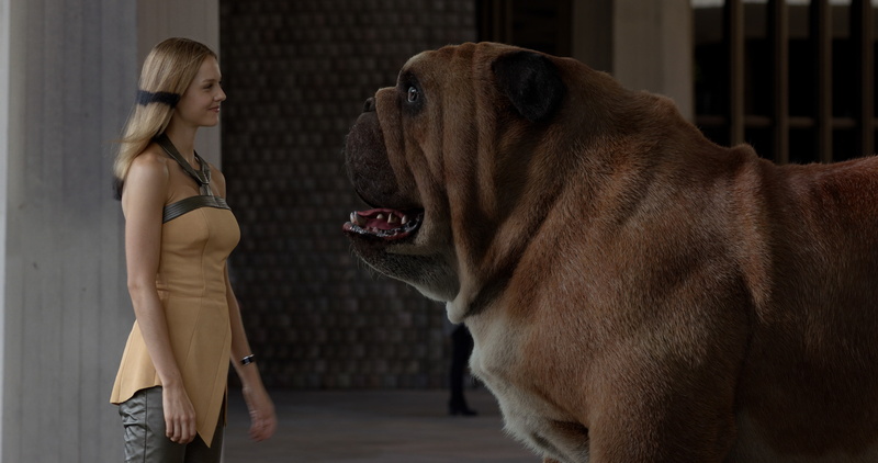 mammal, profile view, young adult, vertebrate, young women, inhumans, indoors, 2K, lockjaw, marvel, dog, pets, canine, women, adult, one person, standing
