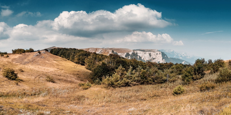 mountain, rock, semi-arid, beauty in nature, landscape, leafed, tourism, natural, wilderness, skies, white, rock - object, no people, trees, forrest, mountains