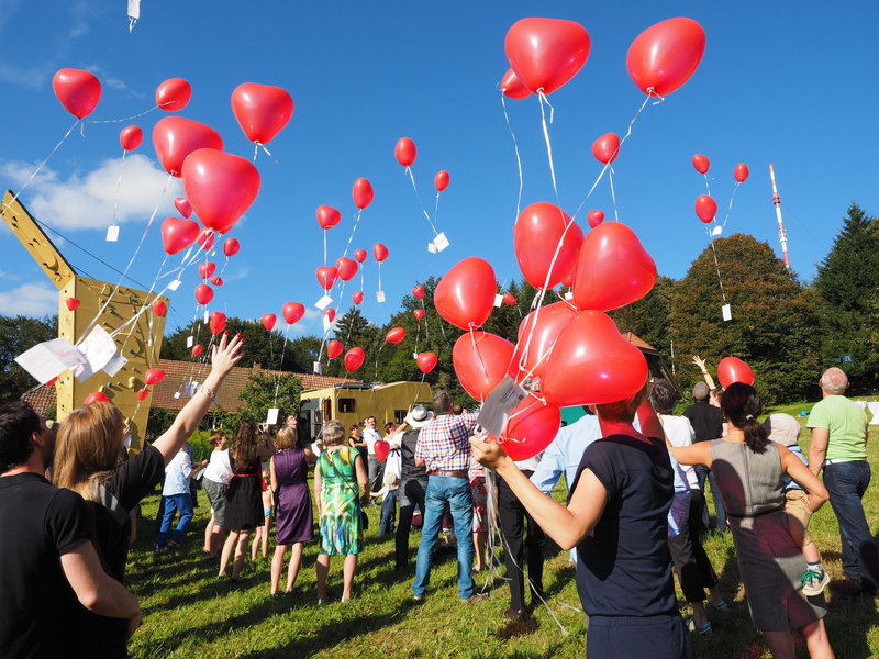group of people, event, human arm, romance, love, balloons, wedding day, sky, positive emotion, adult, heart, nature, rise, helium balloon, men, congratulation