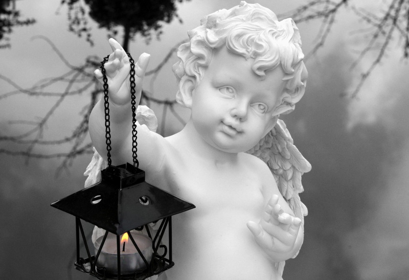 beauty, sweet, lantern, portrait, Angel, childhood, children only, statue, decoration, angel face, angel, white, looking at camera, Angel Wings, day, innocence