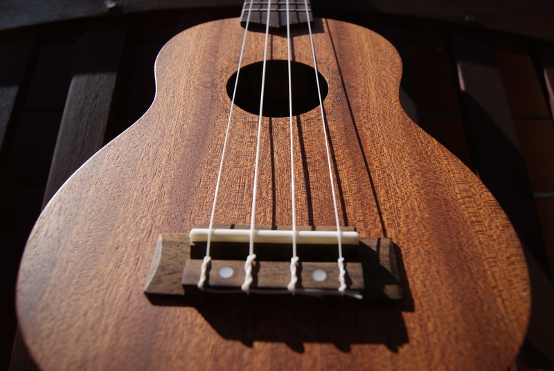 Wood, brown, single object, still life, hole, fret, fingerboard, classical, string instrument, focus, wood - material, no people, musical equipment, hawaii