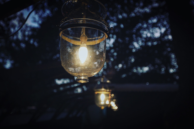 evening, transparent, winter, glass, dark, shiny, photo, light, tree, clear, electricity, lighted, outdoors, photography, light bulbs, lighting Equipment
