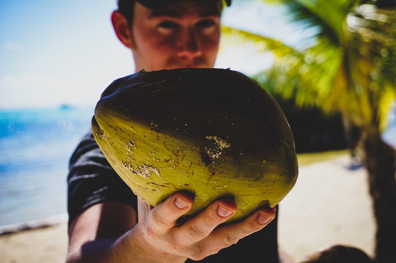 land, palm tree, day, summer, person, nature, real people, sunlight, sea, beach, nut, focus, coconut, finger, musician, focus on foreground, tree, leisure activity