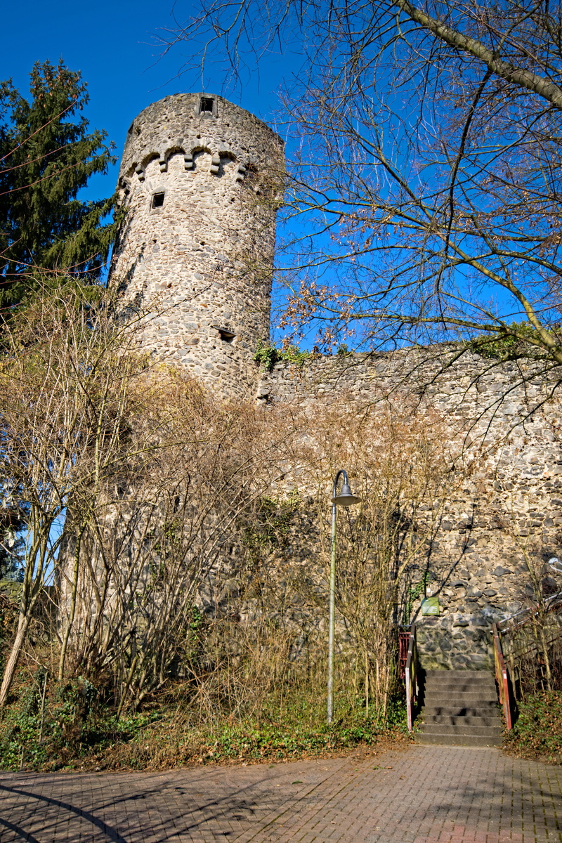 outdoors, low angle view, blue, built structure, sky, architecture, building exterior, growth, nature, lifestyles, 5K, sunlight, Steinheim, old, tree