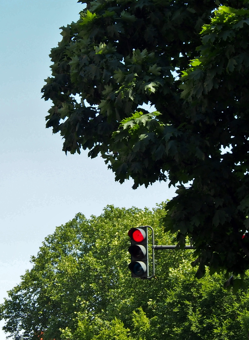 hanau, nature, red light, low angle view, outdoors, no people, sky, tree, light, traffic lights, communication, road signal, stoplight, road, junction