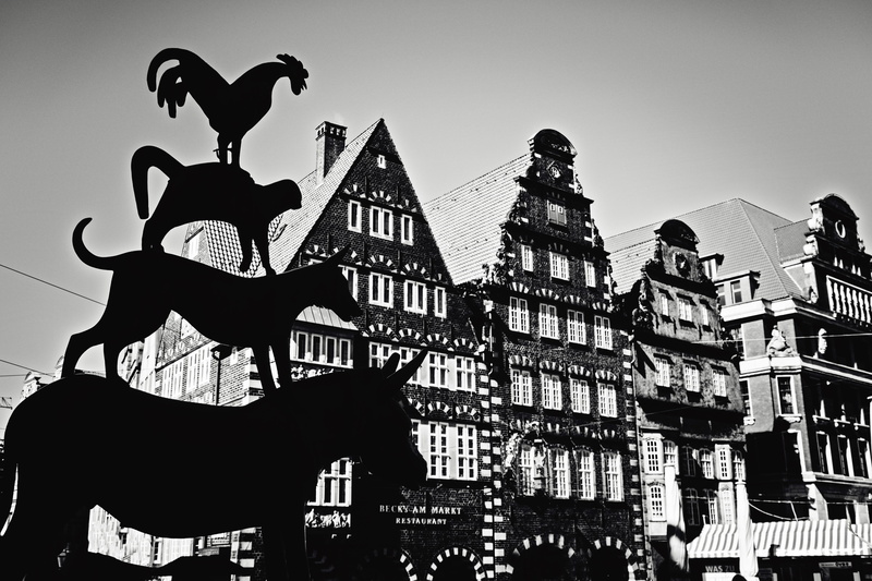 old buildings, low angle view, cobblestone, houses, art and craft, 5K, building exterior, residential district, clear sky, europe, donkey, no people, bremen