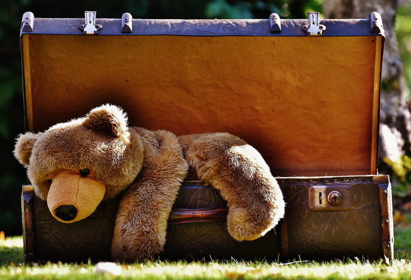 day, container, animal themes, outdoors, stuffed animal, generations, animals in the wild, old suitcase, plush, steamer, relaxation, curious, stuffed toy