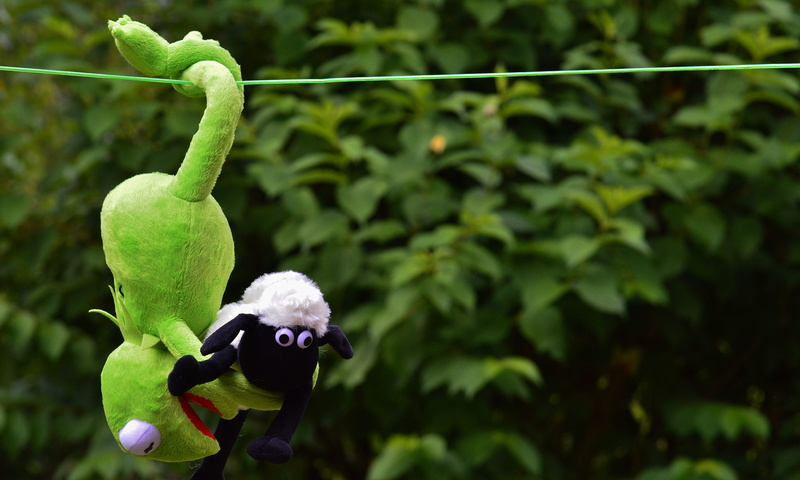 one animal, food and drink, close-up, animal themes, plush, holding, play, funny, fun, beauty in nature, focus on foreground, stuffed animal, plant part