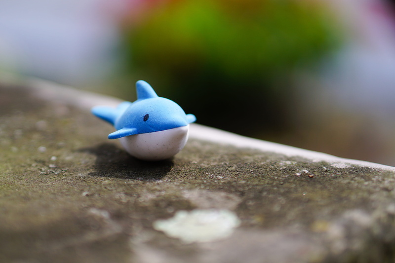 day, animal, water, decoration, no people, outdoors, collectors item, focus, representation, photography, play, toys, nature, single object, fun, white