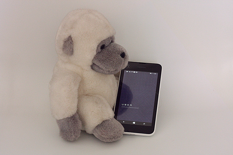 still life, portable information device, Car, connection, wireless technology, music, transportation, no people, mammal, toy, mobile phone, teddy bear