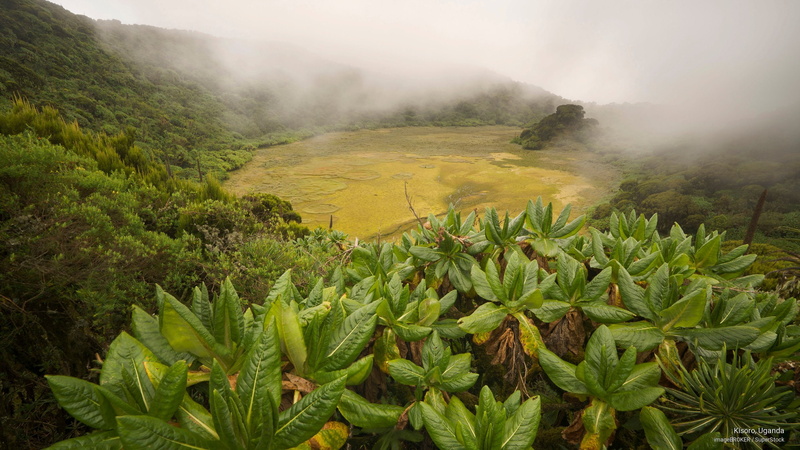 2K, kisoro, Africa, uganda