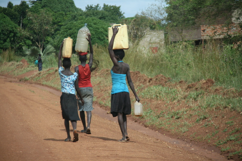 rear view, adult, africa, arms raised, woman, walking, hat, water, plant, outdoors, nature, water winner, childhood, women, day, leisure activity, land