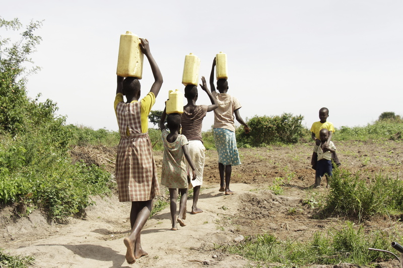 water, human arm, kids, chores, africa, 5K, land, togetherness, field, plant, arms raised, tree, leisure activity, women, kids of uganda, real people