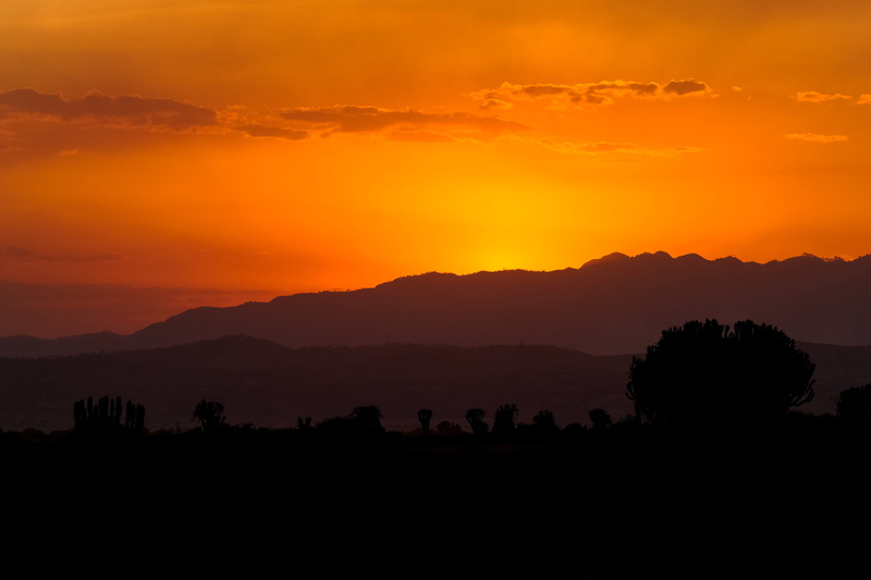 queen elizabeth national park, uganda, nature, scenics - nature, outdoors, sunset, plant, beauty in nature, africa, non-urban scene, sky, mountain, no people