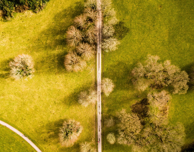semi-arid, landscape, green, animal, irland, outdoors, tranquil scene, tree, land, trees, grasses, field, no people, meadow, vacation, sky, environment