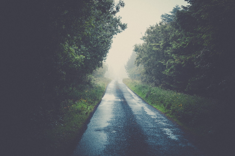 day, outdoors, no people, fog, way, dirt road, scenery, headlight, mist, gravel, beauty in nature, direction, plant, tree, sky, highway, travel, weather