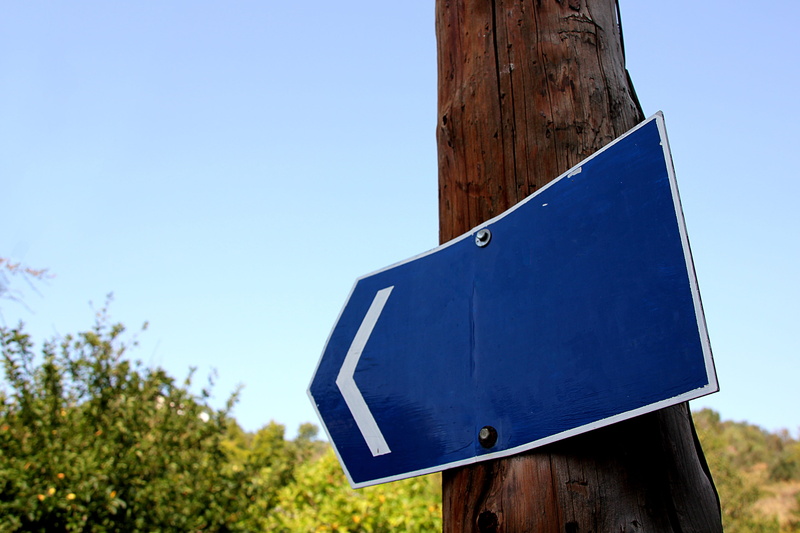 tree, day, blue, copy space, sunlight, sign, shield, focus on foreground, guidance, road, road sign, directory, arrow, clear sky, direction, low angle view