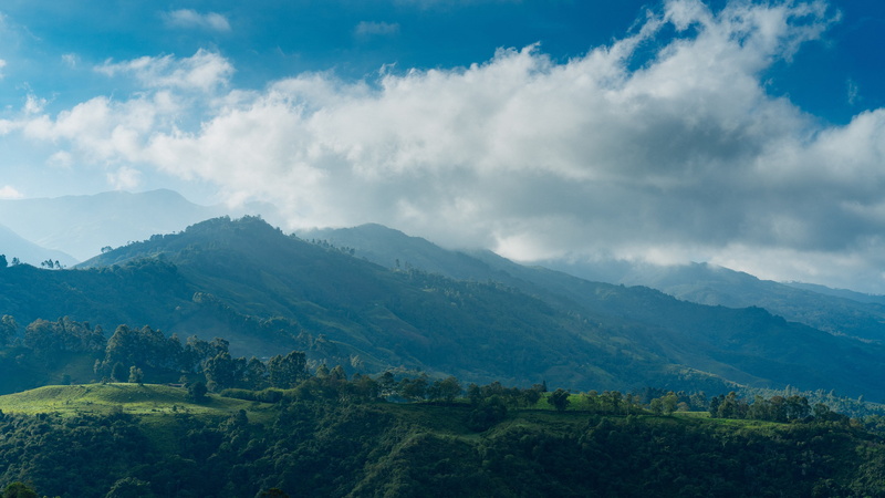 Earth, Nature and Landscapes, sky, scenics - nature, woodland, environment, cloud - sky, rain, outdoors, Travel, no people, Outdoor, fog, mountain range