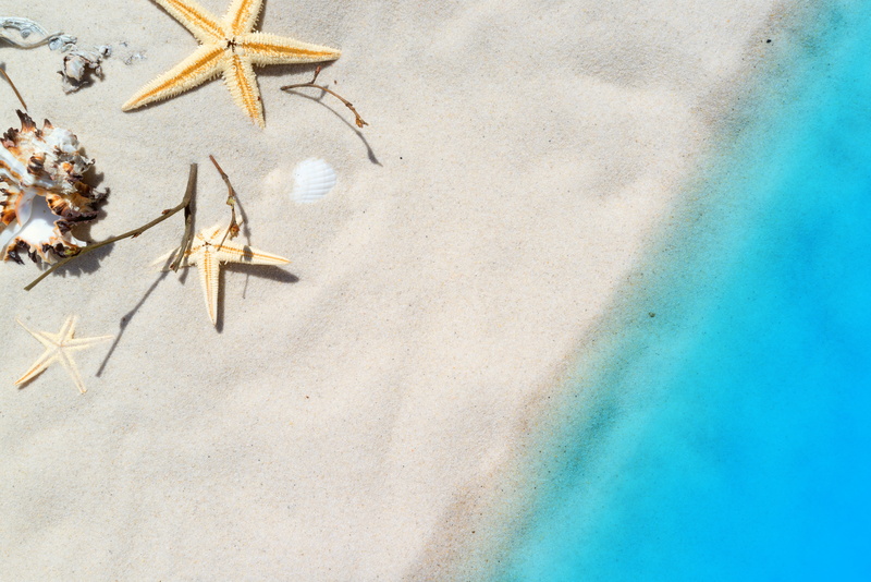 5K, tropical, beige, land, winter, high angle view, marine, sand, art and craft, backgrounds, beach, tourism, starfish, animal, day, exotic, no people