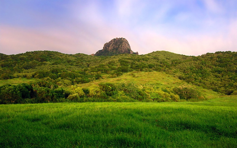 field, hd, windows, fields, nature, world, 720P, travel, around, grass, green, windows 7