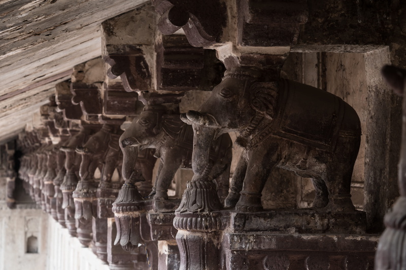 ancient history, elephants, built structure, place of worship, orchha fort, travel destinations, sculpture, 5K, the past, ancient civilization, travel