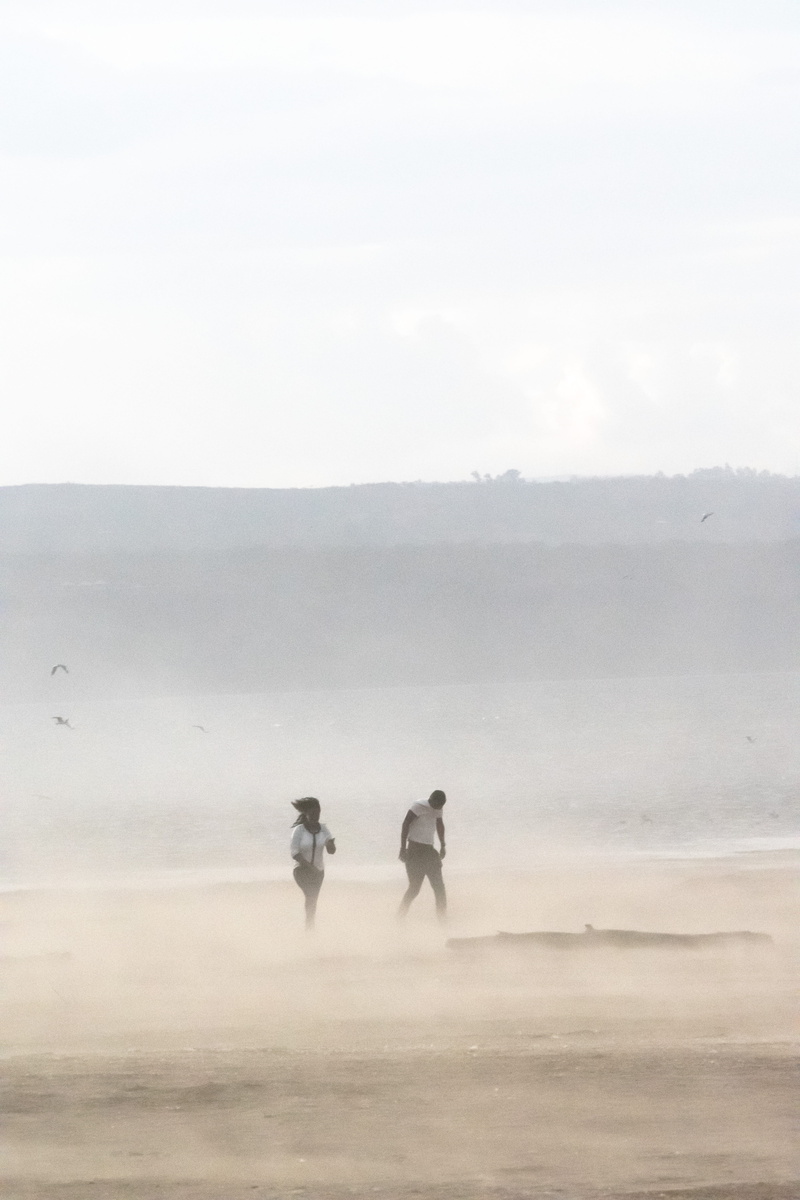 nature, adult, beauty in nature, outdoors, nakuru, safari, real people, bird, lifestyles, weather, landscape, standing, 5K, nakuru lake, kenya, nakuru national park