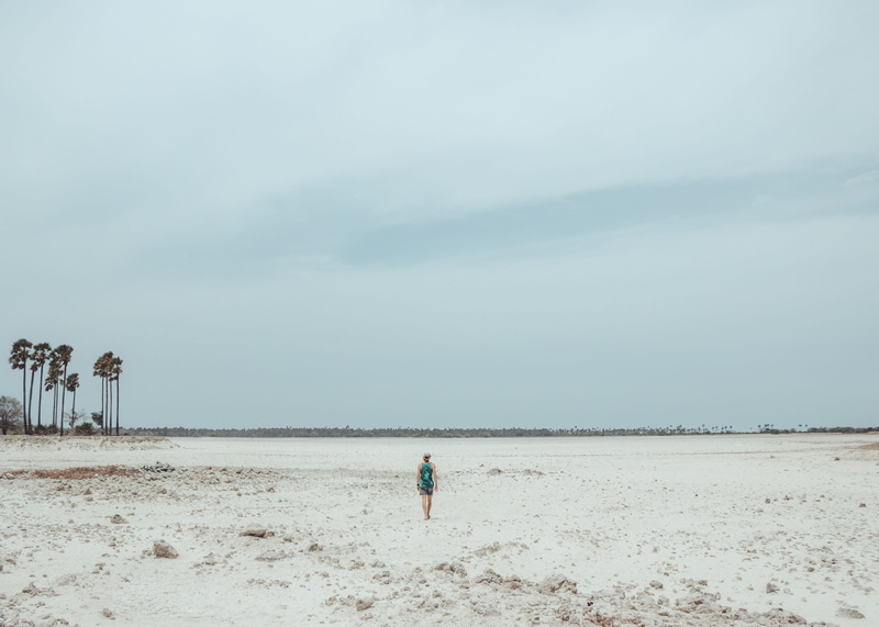 beach, field, real people, trip, sri lanka, coast, sea, soil, holiday, outdoors, jaffna, scenics - nature, nature, landscape, men, blue, leisure activity