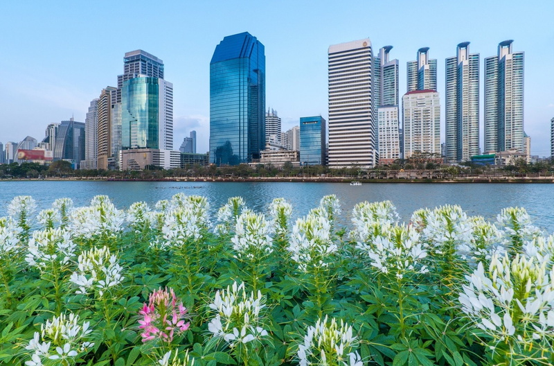 flowering plant, building, Bangkok, built structure, skyscraper, city, 1080P, freshness, tall - high, office building exterior, modern, Chau Praya, landscape