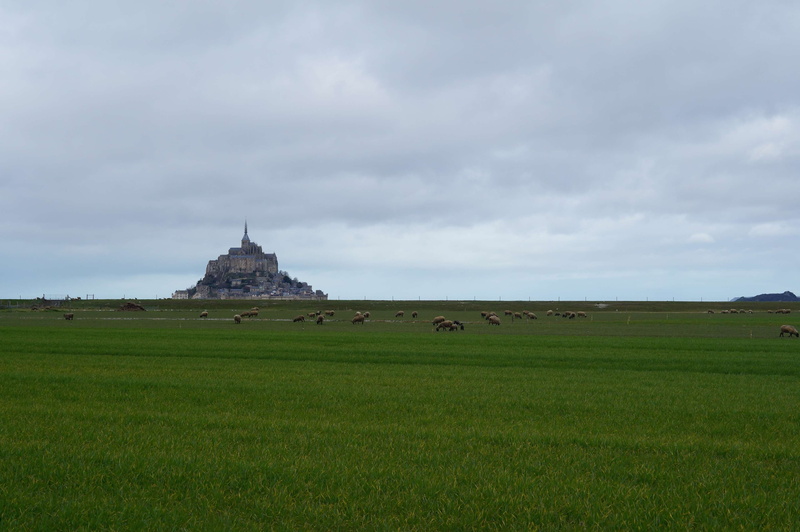no people, religion, place of worship, mont st michel, beauty in nature, day, environment, outdoors, plant, grass, landscape, cloudy skies, cloud - sky