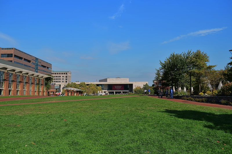day, green color, independence, Independence Hall, design, america, built Structure, architectural, tree, philadelphia, hall, Philadelphia, exterior, united states