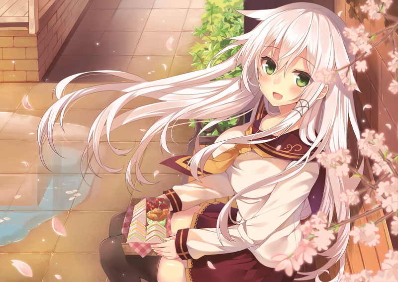 Anceril Sacred, 720P, cherry blossom, original characters, anime girls