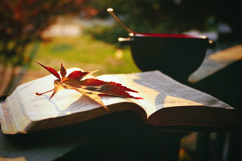 no people, worship, leaf, fall, word, spirit, newspaper, christian, food, table, morning, 5K, drink, love, sunlight, scripture, quiet time, refreshment