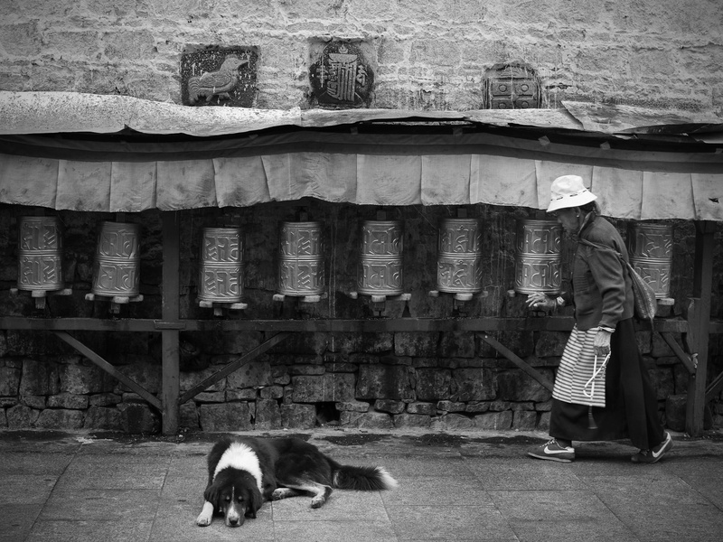 cultures, dog, prayer wheel, built structure, domestic, canine, people, architecture, real people, domestic animals, cat, one animal, day, building exterior