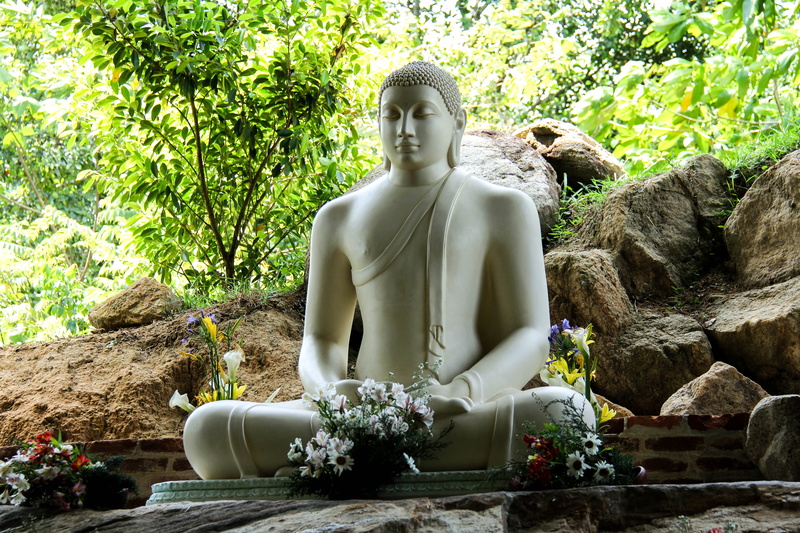 human representation, creativity, idol, outdoors, spirituality, male likeness, plant, nature, 5K, religion, belief, art and craft, solid, buddha, tree