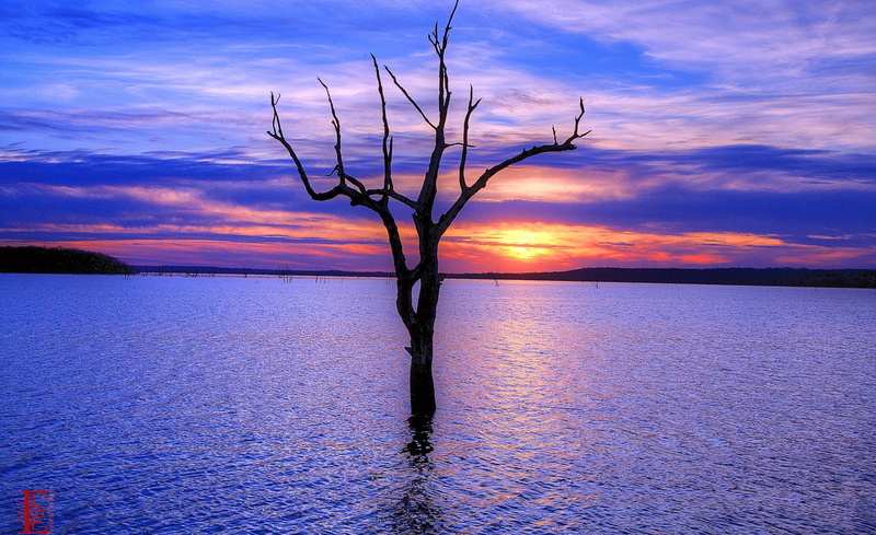 Clinton Lake, Nature, lake, Travel, clinton, 1080P, tree, Scenery, Reflection, United States, Scene, Landscape, Kansas, Sunset